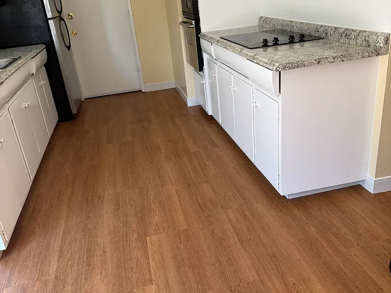 3811 Pacific Heights Blvd — Photo 4