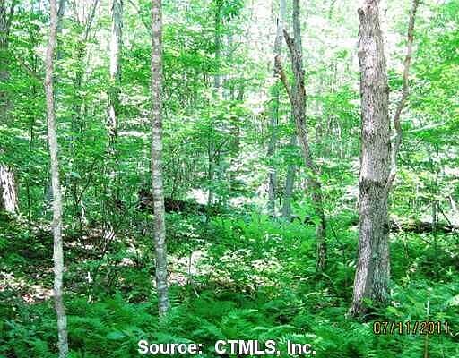 2nd image of 79 Brown School Rd
