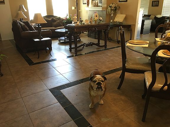 4th image of 4412 N Western Creek Cir