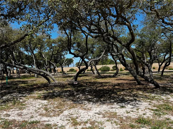2310 Royal Oaks Trl, Rockport, TX 78382