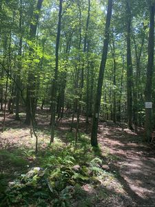 Lot 2 Chalybes Road West, Roxbury, CT, 06783