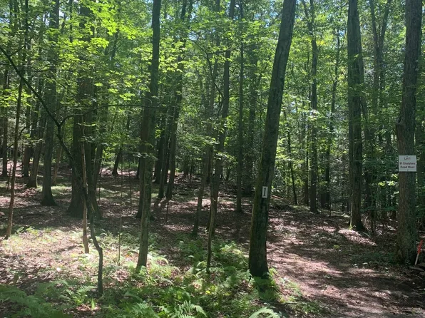 Lot 2 Chalybes Road West, Roxbury, CT 06783
