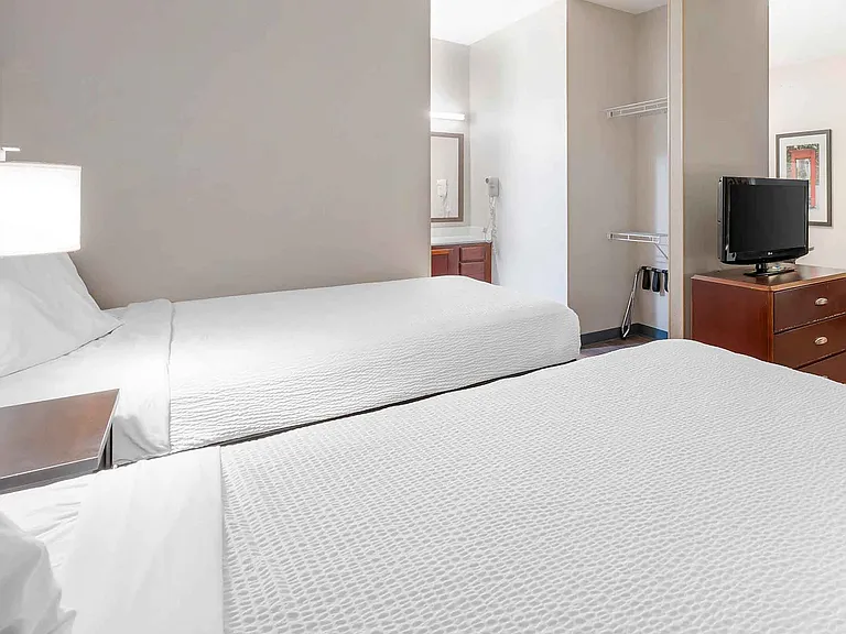 Studio Suite - 2 Full Beds