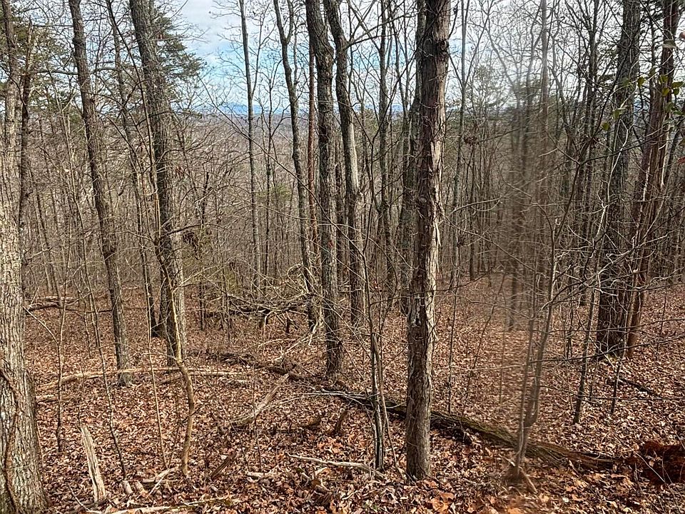 2nd image of 0 Forest Dr Lot B