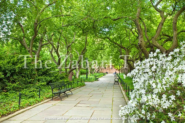 Rented by Compass | media 8