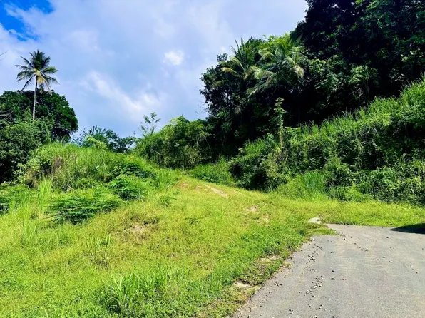 Bo Minillas Sector Pepe Torres Lote #4, Bayamon, PR 00956