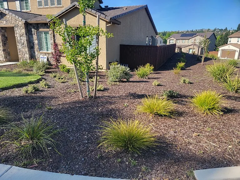 3035 Salt Wash Way — Photo 2
