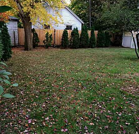 Yard