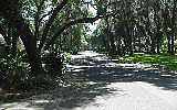 4th image of L-16 Ocean Forest Dr
