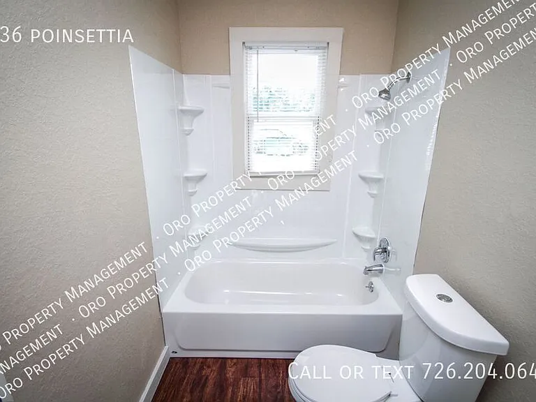 936 Poinsettia — Photo 26