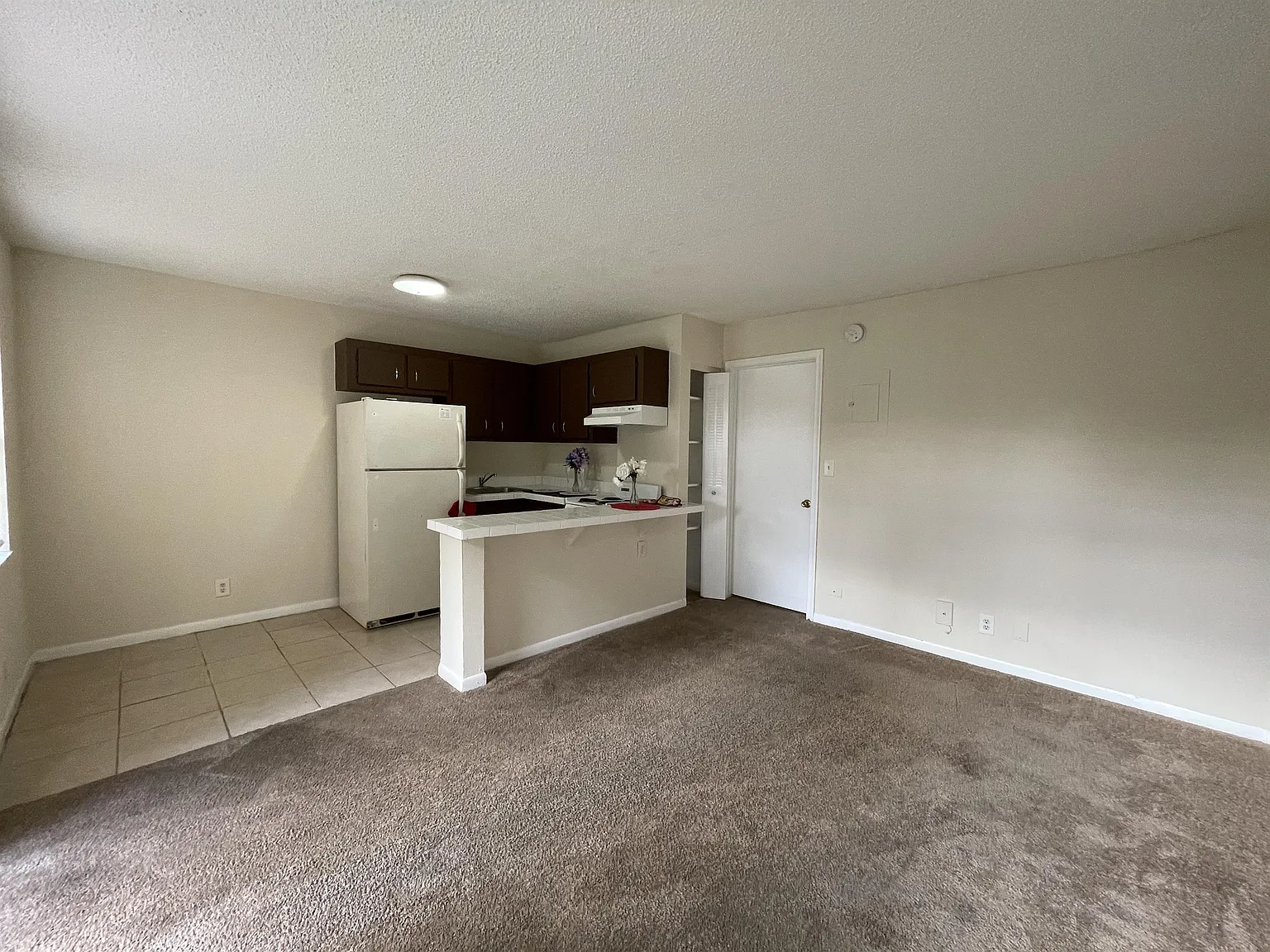 Village Park 5192 #802 (Pagaroce LLC) - 672 — Photo 4