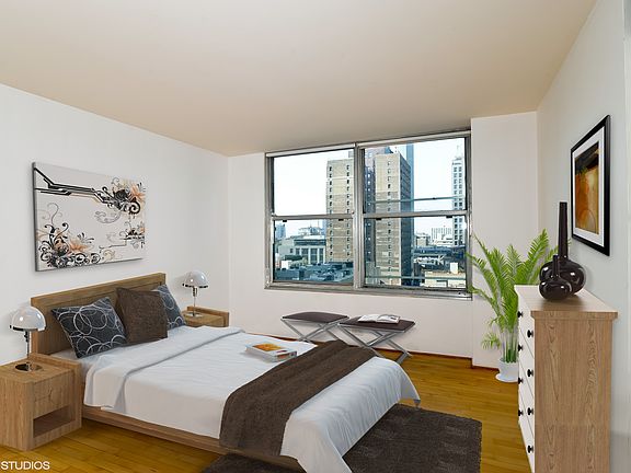 3rd image of 1000 N Lake Shore Dr APT 1102