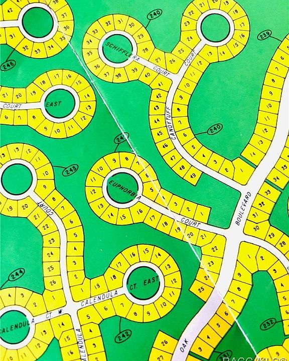 2nd image of 6 Schefflera Ct