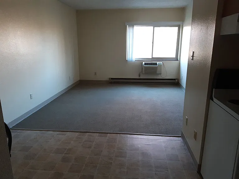 Dining area and Living Room