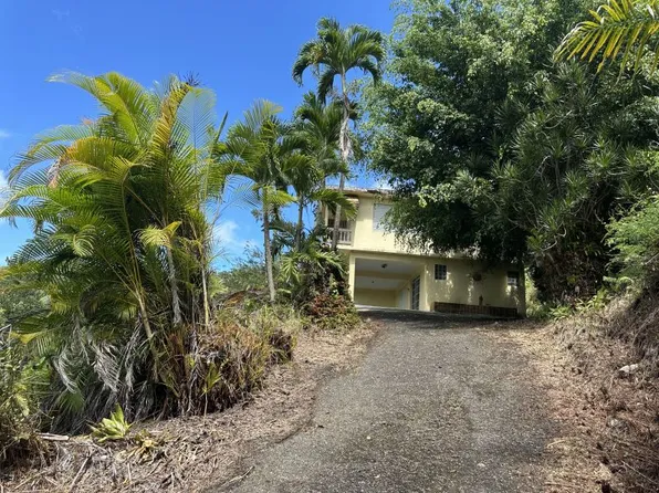 Bo Santana Carr #120, Sabana Grande, PR 00637