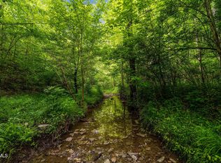 Rocky Hollow Rd, Rogersville, TN 37857
