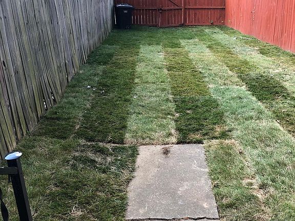 Rear Yard