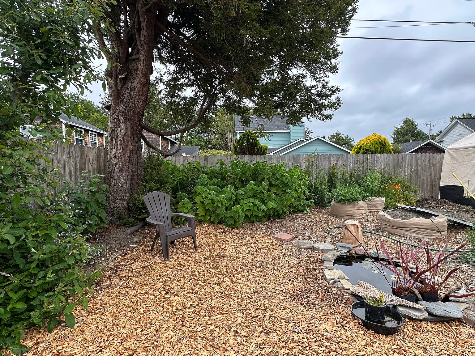 1130 Austin Way — Photo 3