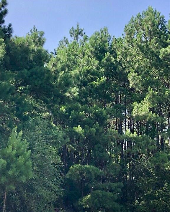 2nd image of 10655 Wulff Rd S