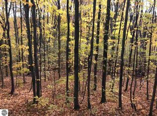 E Omena Rd, Northport, MI 49670