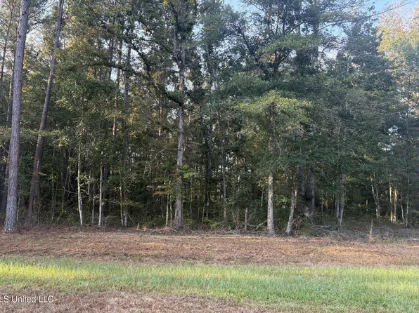 0 Friendship Cir Lot 34, Forest, MS 39074