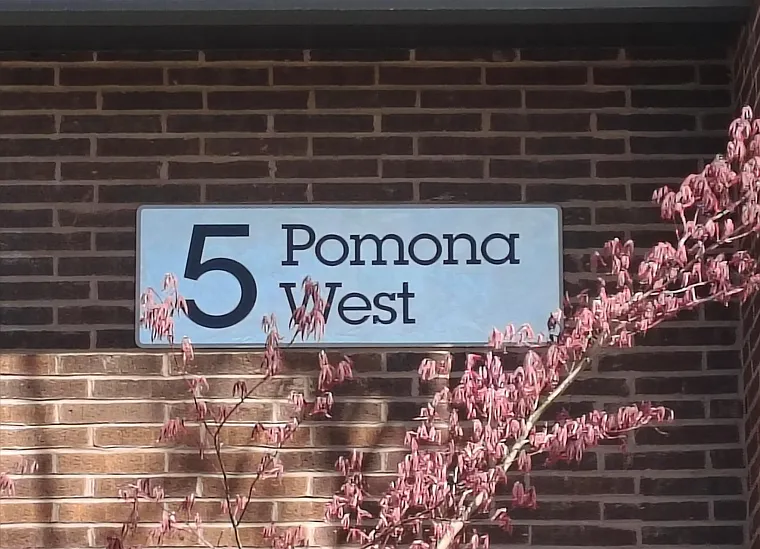 Residences at Pomona Park — Photo 103