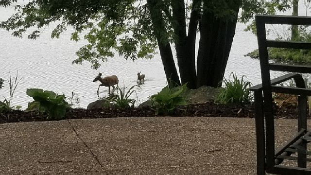 Morning coffee with a view!