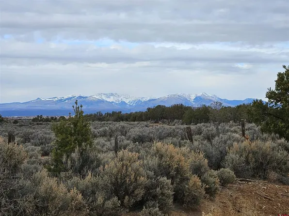 TBD County Road 136, Hesperus, CO 81326