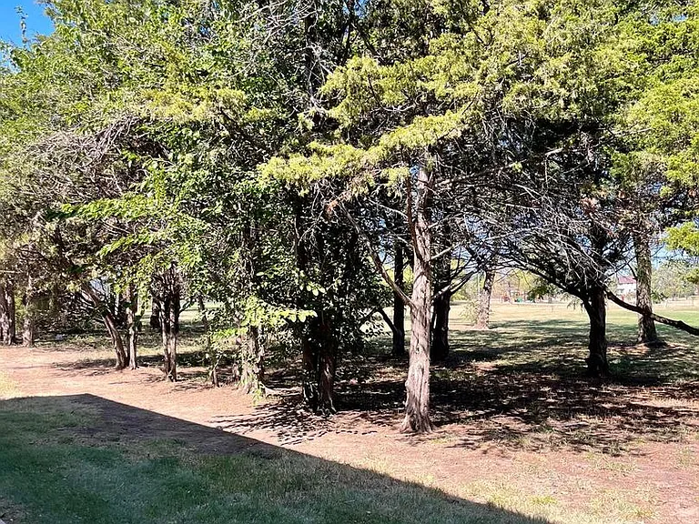Park Meadows — Photo 16