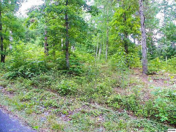 3rd image of 12 Bogle Spring Loop #12