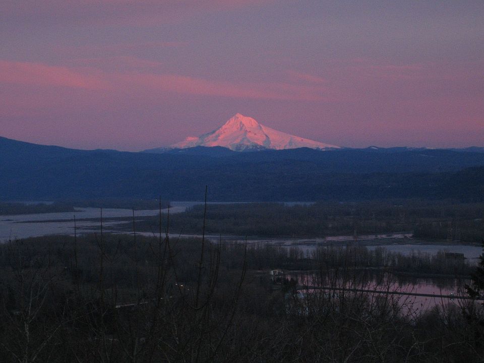 View from Master Bedroom