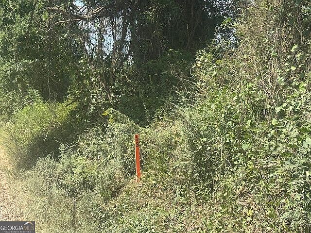 1st image of 0 Cook Rd Lot 13