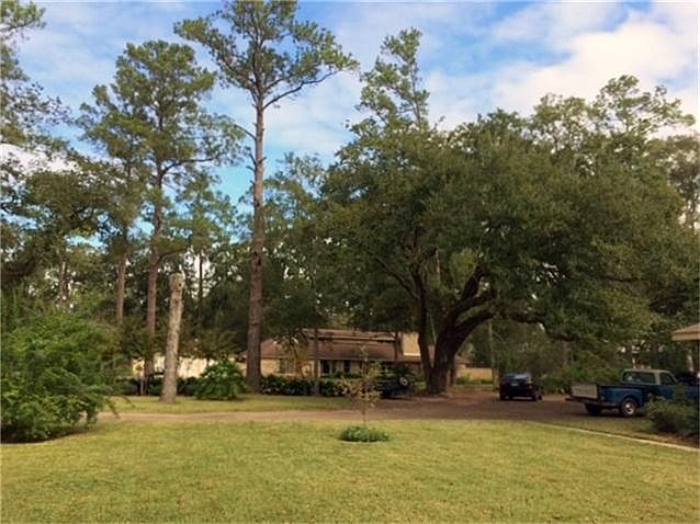 Front lawn with view to the north.