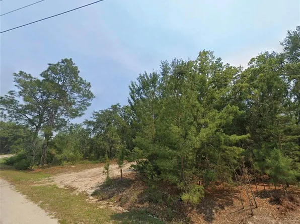 Malauka Pl Lot 24, Ocklawaha, FL 32179