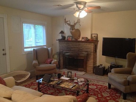 Wood-burning fireplace