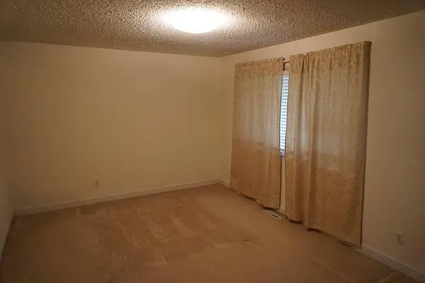 233 W Morningside St — Photo 4