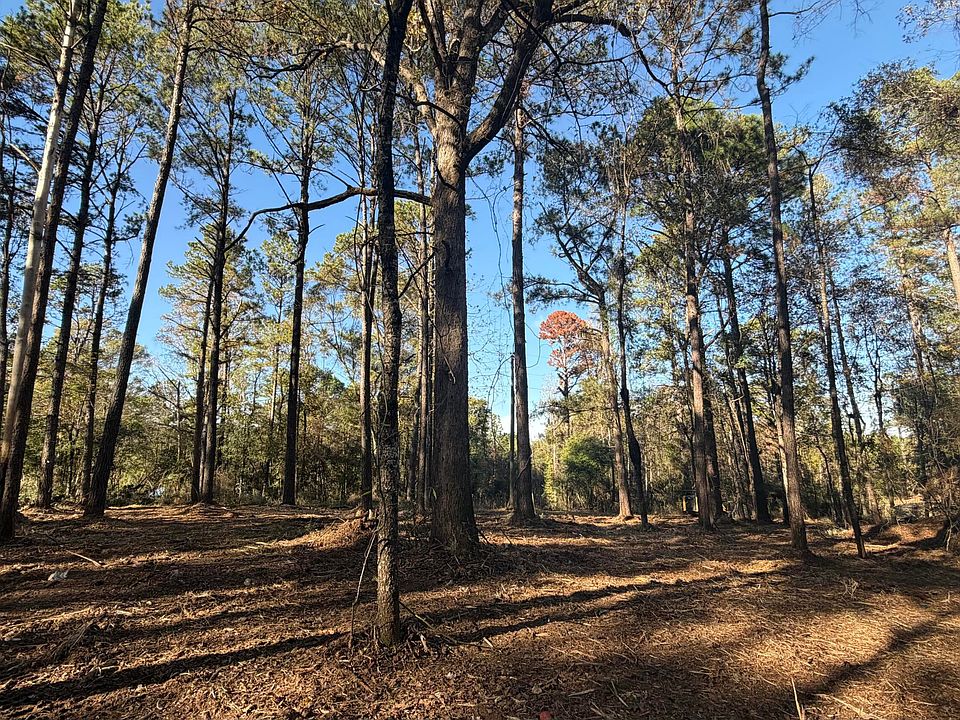 2nd image of State Highway 48