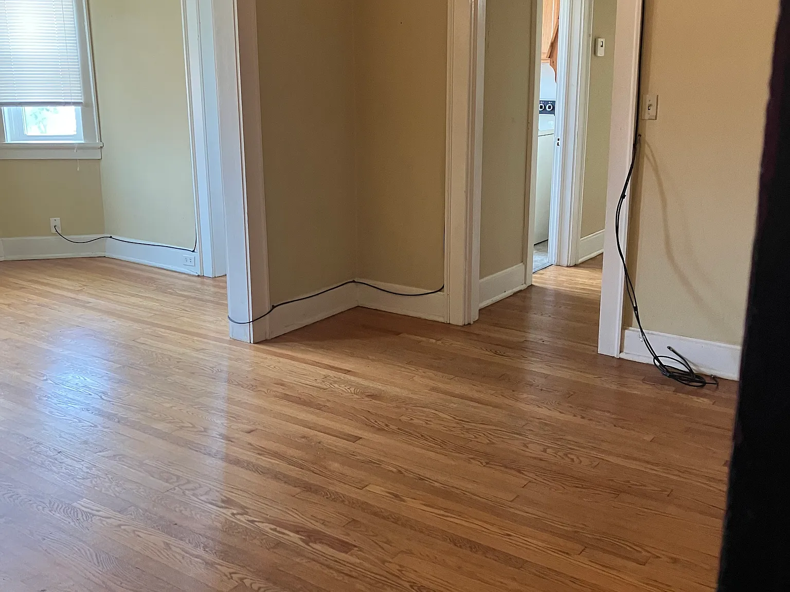 1 bed, 900 sqft, $850 — Photo 4
