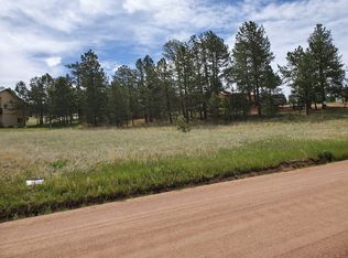 484 Duesouth Rd, Florissant, CO 80816