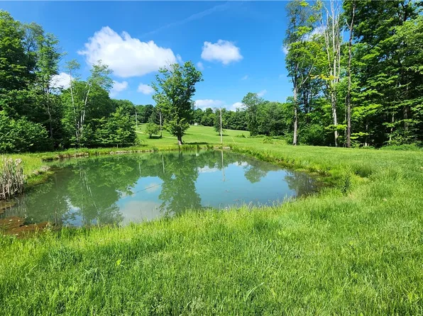 0 Arcadia Rd, Cherry Tree, PA 15724