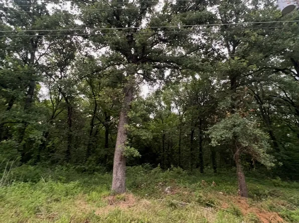 115 Inca Trl, Mabank, TX 75156