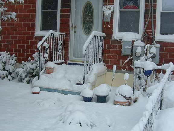 Winter Fun