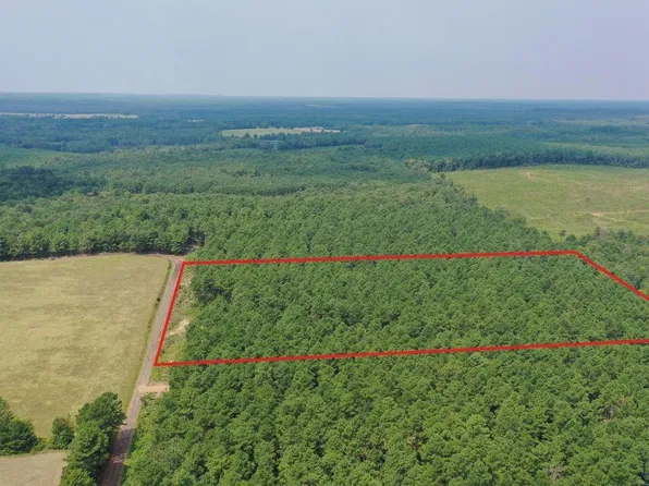 3 County Road 1459, Linden, TX 75563