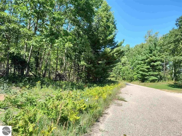 N Cir E, Farwell, MI 48622