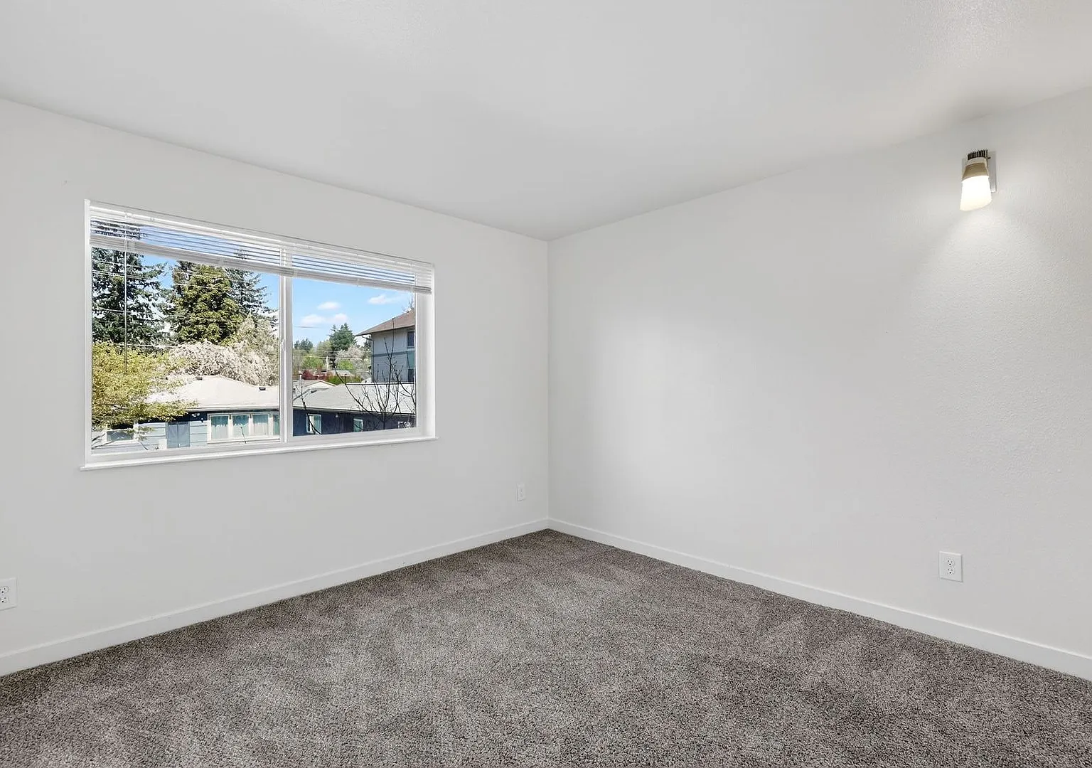 Irish Moss Apartments — Photo 2