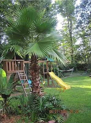 5th image of 1027 Saint Mary Dr