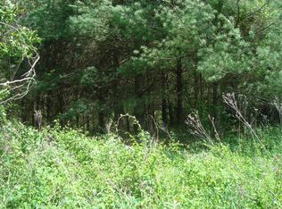 Tbd Oak Ridge Lane, Austinville, VA 24312
