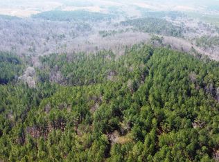 993 County Road 106, Bear Creek, AL 35543