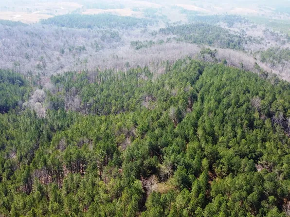 993 County Road 106, Bear Creek, AL 35543