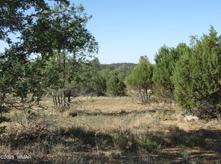 PARCEL Lamb Dr #B, Pinedale, AZ 85934